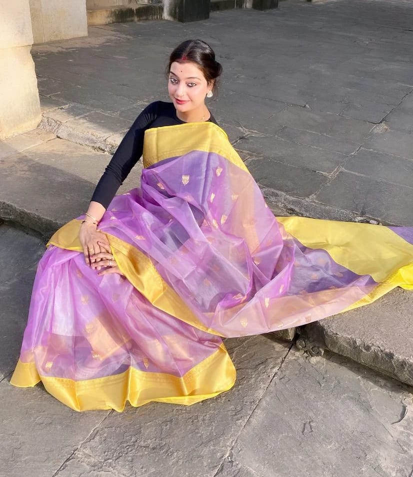 handloom chanderi katan silk saree | designer border |